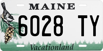 ME license plate 6028TY