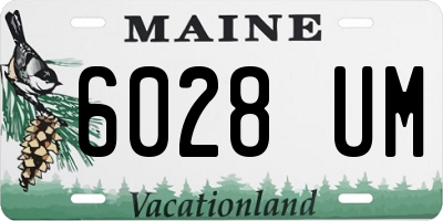 ME license plate 6028UM
