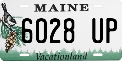 ME license plate 6028UP