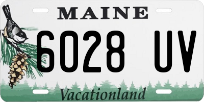 ME license plate 6028UV