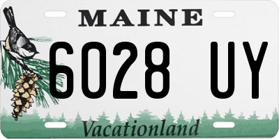 ME license plate 6028UY