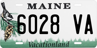 ME license plate 6028VA