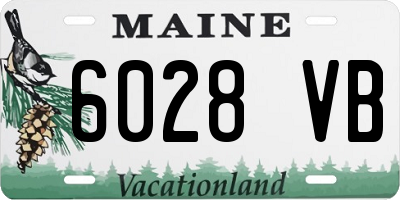 ME license plate 6028VB