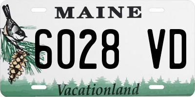 ME license plate 6028VD