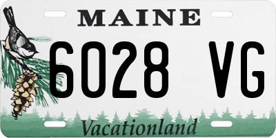 ME license plate 6028VG