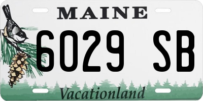 ME license plate 6029SB