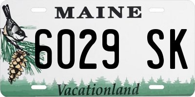 ME license plate 6029SK