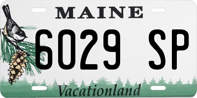 ME license plate 6029SP