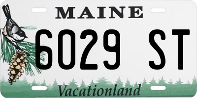 ME license plate 6029ST