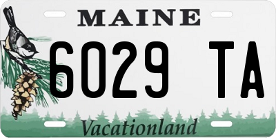 ME license plate 6029TA
