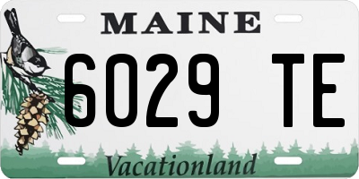 ME license plate 6029TE