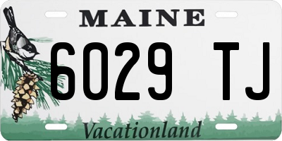 ME license plate 6029TJ