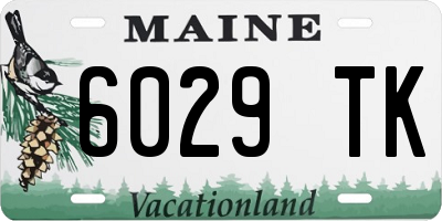 ME license plate 6029TK