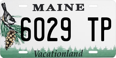ME license plate 6029TP