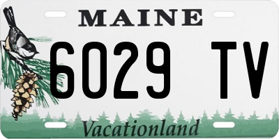 ME license plate 6029TV