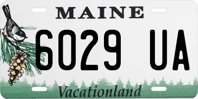 ME license plate 6029UA