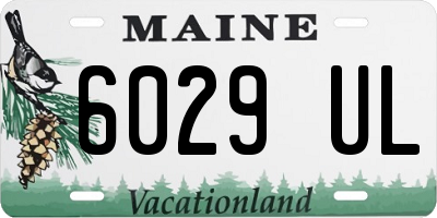 ME license plate 6029UL