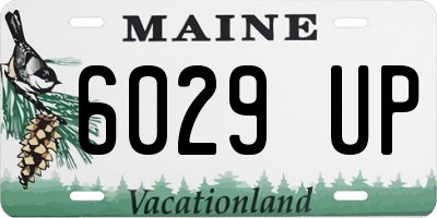 ME license plate 6029UP