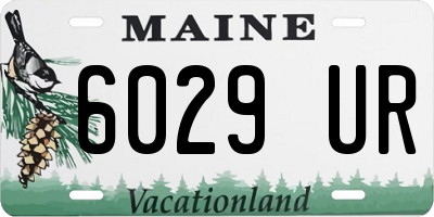 ME license plate 6029UR