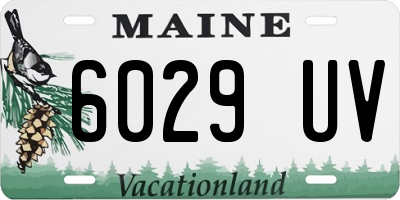 ME license plate 6029UV
