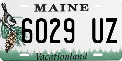 ME license plate 6029UZ