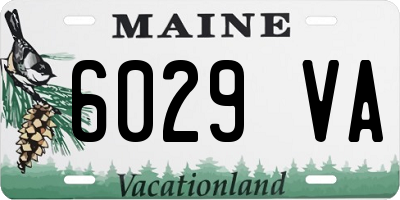 ME license plate 6029VA