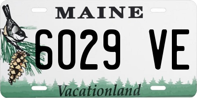ME license plate 6029VE