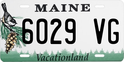 ME license plate 6029VG