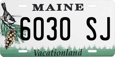 ME license plate 6030SJ