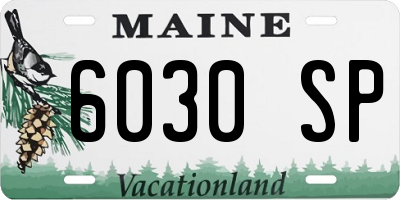 ME license plate 6030SP