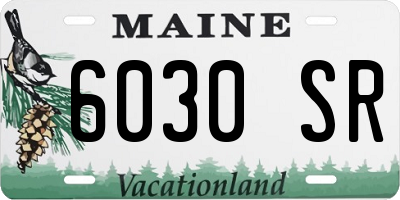 ME license plate 6030SR