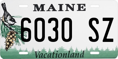 ME license plate 6030SZ