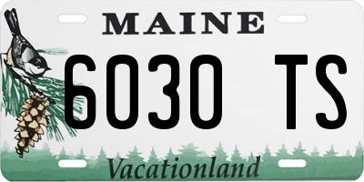 ME license plate 6030TS