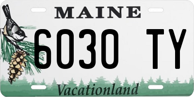 ME license plate 6030TY