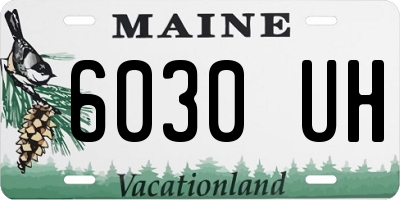 ME license plate 6030UH