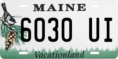 ME license plate 6030UI