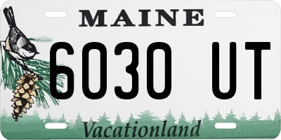 ME license plate 6030UT