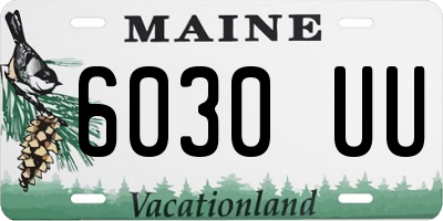 ME license plate 6030UU