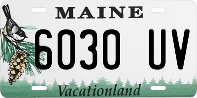 ME license plate 6030UV