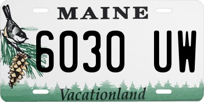 ME license plate 6030UW