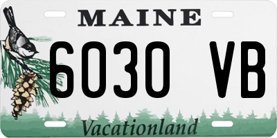ME license plate 6030VB