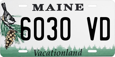 ME license plate 6030VD