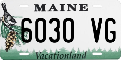 ME license plate 6030VG