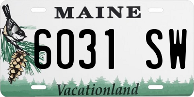 ME license plate 6031SW