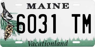 ME license plate 6031TM