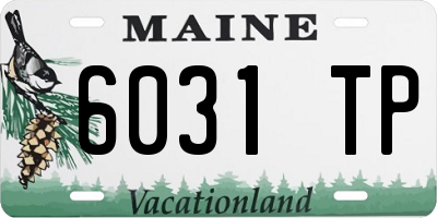 ME license plate 6031TP