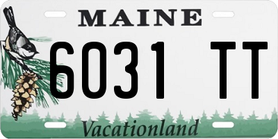 ME license plate 6031TT