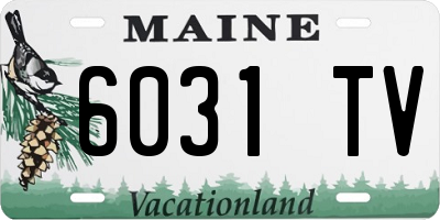 ME license plate 6031TV