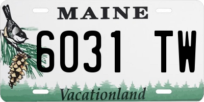 ME license plate 6031TW