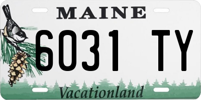 ME license plate 6031TY